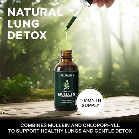 Mullein + Chlorophyll Lung Drops