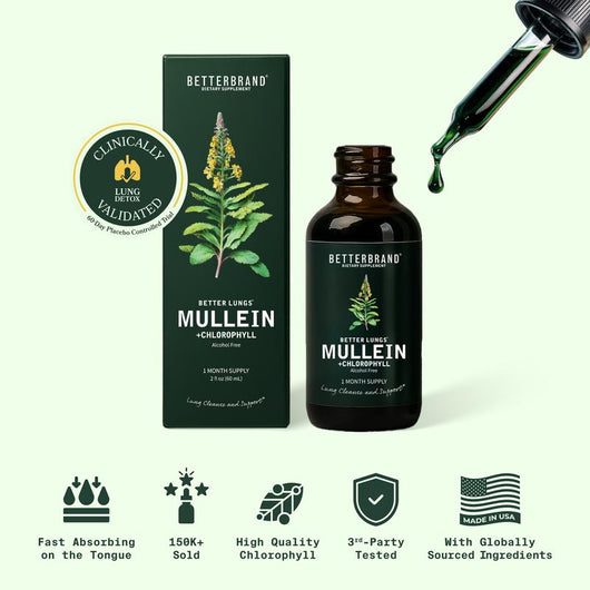 Mullein + Chlorophyll Lung Drops