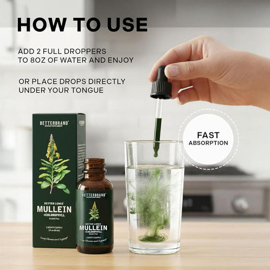 Mullein + Chlorophyll Lung Drops